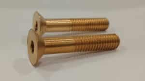 Two brass screws with flat heads and threaded shafts.