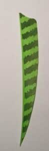 Close-up of a green leaf with dark green stripes.