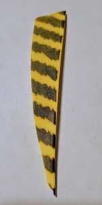 Yellow and black patterned feather on a white background.