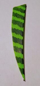 Close-up of a green leaf with dark green zigzag patterns.