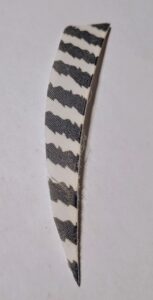 Close-up of a curved object with black and white zigzag patterns.