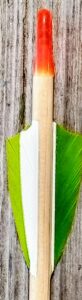 Close-up of a feather with green, white, and brown colors against a wooden background.