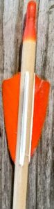 Close-up of orange and white feathers on an arrow fletching.