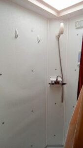 Simple bathroom corner with a showerhead and soap holder.