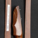 Ancient Spirits RRB2823