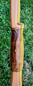 Close-up of a peeled bamboo stalk showing its inner and outer layers.