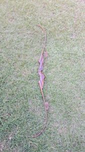 A dry brown vine lying on green grass.