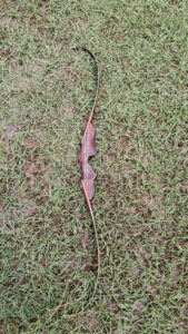 A traditional wooden recurve bow lying on grass.