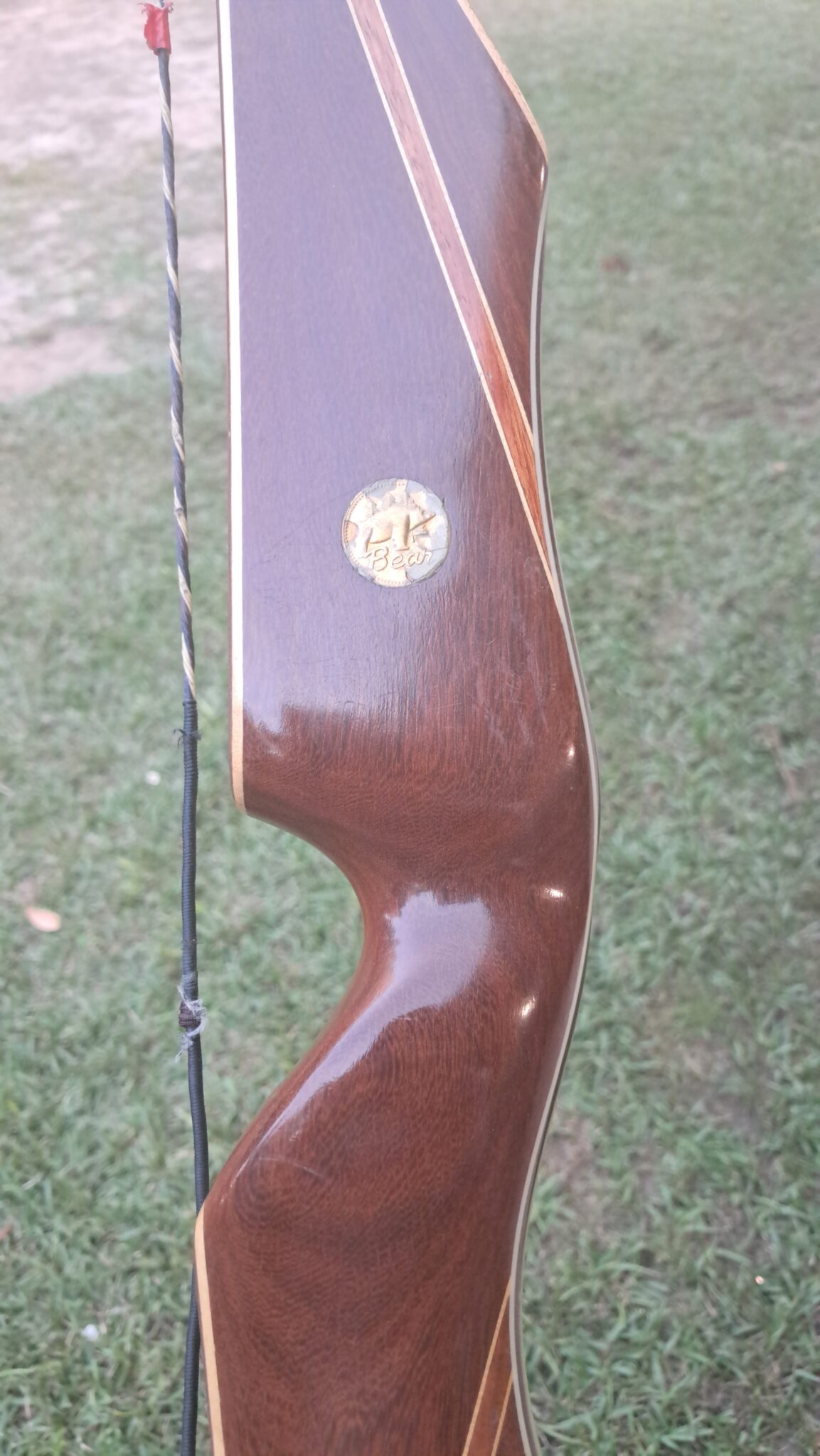 Bear "Kodiak" - 60" 51#@28" RH Recurve - USED - RRB2961 - $395 - Image 3