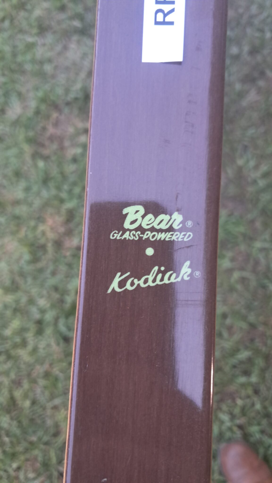 Bear "Kodiak" - 60" 51#@28" RH Recurve - USED - RRB2961 - $395 - Image 5