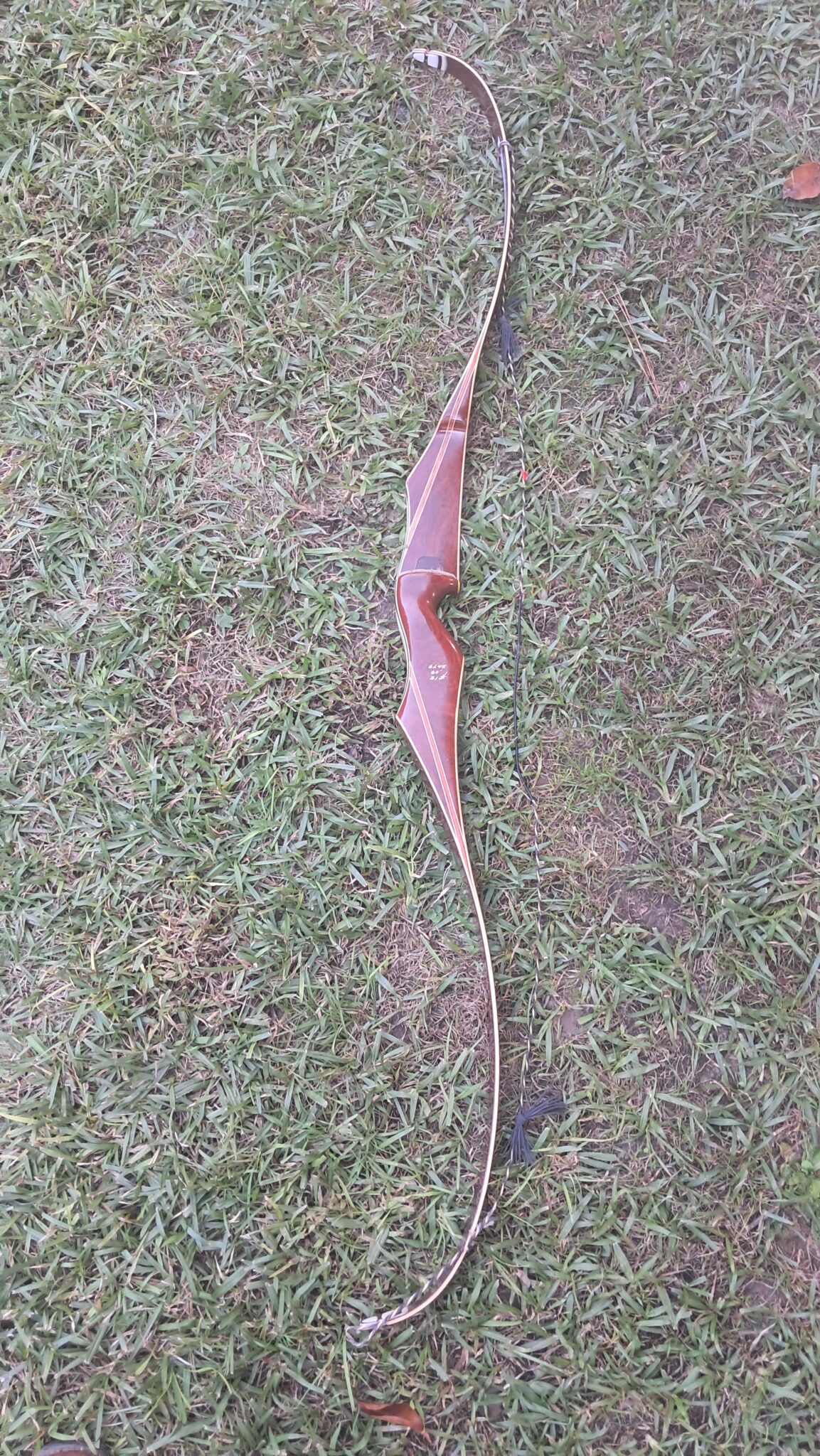 Bear "Kodiak" - 60" 51#@28" RH Recurve - USED - RRB2961 - $395 - Image 6