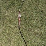 PEARSON COUGAR 7050 62" 40@28" RH RECURVE