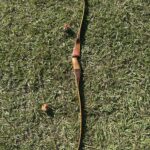 BEAR KODIAK 60"  47#@28 RH RECURVE