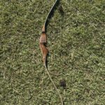 BEAR BOWS KODIAK HUNTER 60" 40@28" RH RECURVE
