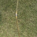BEAR TBD LONG BOW 64" 61LB@28" RH/LH LONG BOW