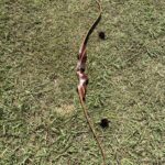 FOX BOWS THE HI SIEARRA 60" 51@28" RH 3PC RECURVE