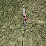 BLACK HUNTER 60" 50#@28" RH RECURVE 3 PC
