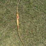 BEAR KODIAC SPECIAL 64" 65#@28 RH RECURVE