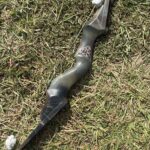 BLACK HUNTER 60" 55#@28" LH 3PC LONG BOW