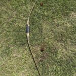 UB001 BIG JIM BUFFALO 62" 62#@28”