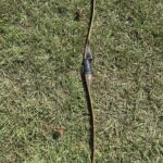 UB023 BIG JIM MOUNTAIN MONARCH 60" 55#@27”